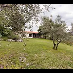 Da Odila Bed & Breakfast Poggio Nativo