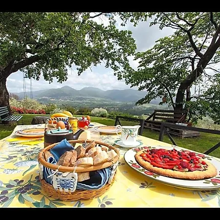 Da Odila 3* Poggio Nativo