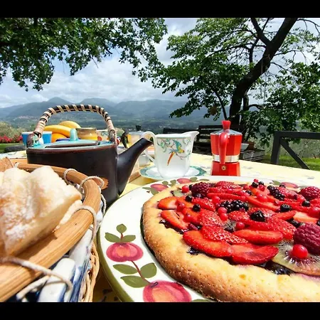 Bed and Breakfast Da Odila