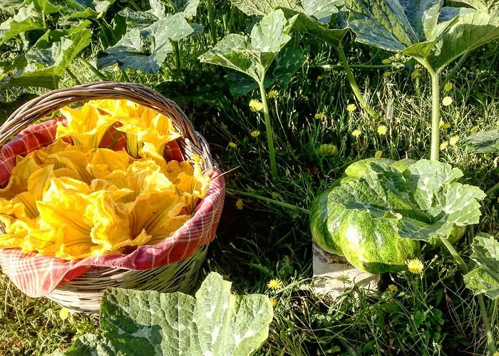 Bed & Breakfast Da Odila Poggio Nativo